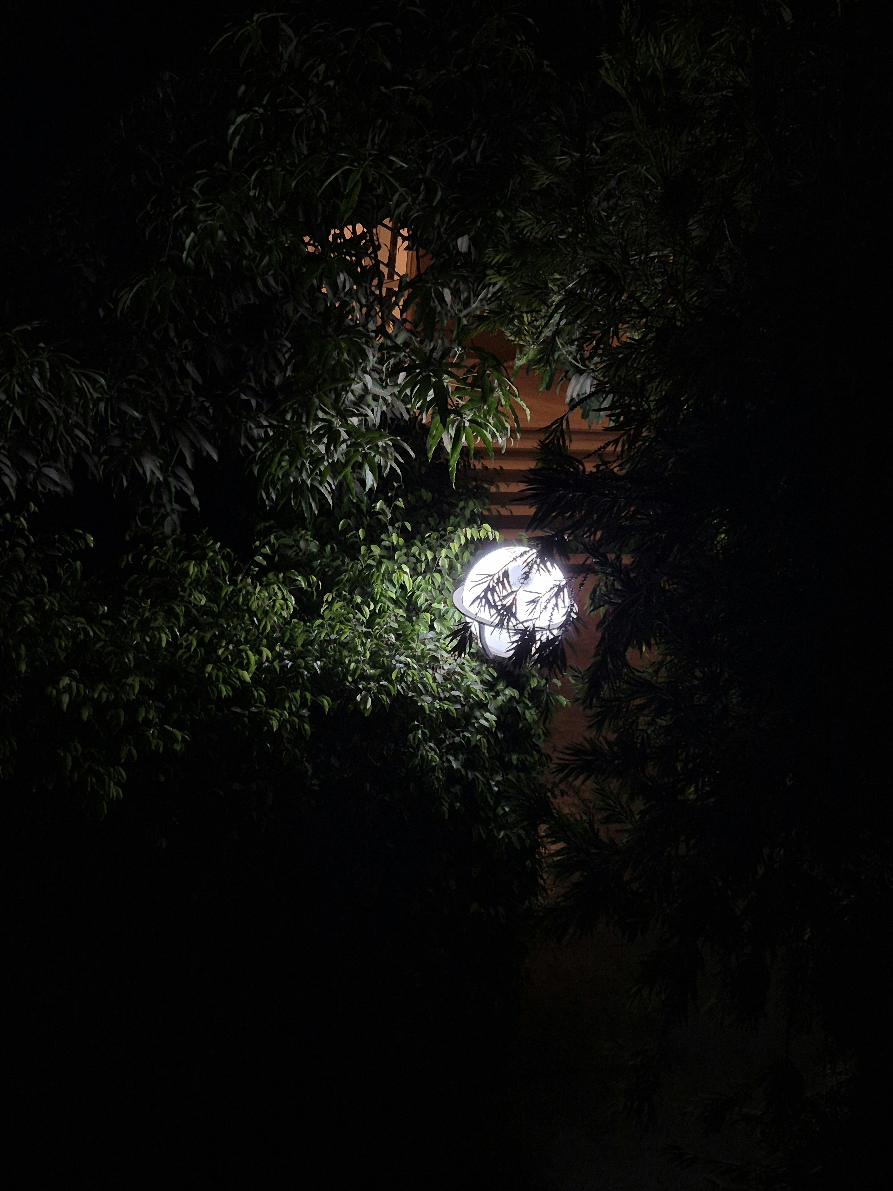 Luminaires Extérieur